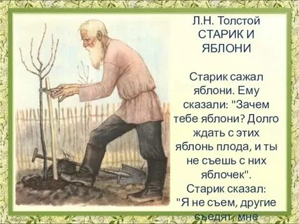 Толстой яблони