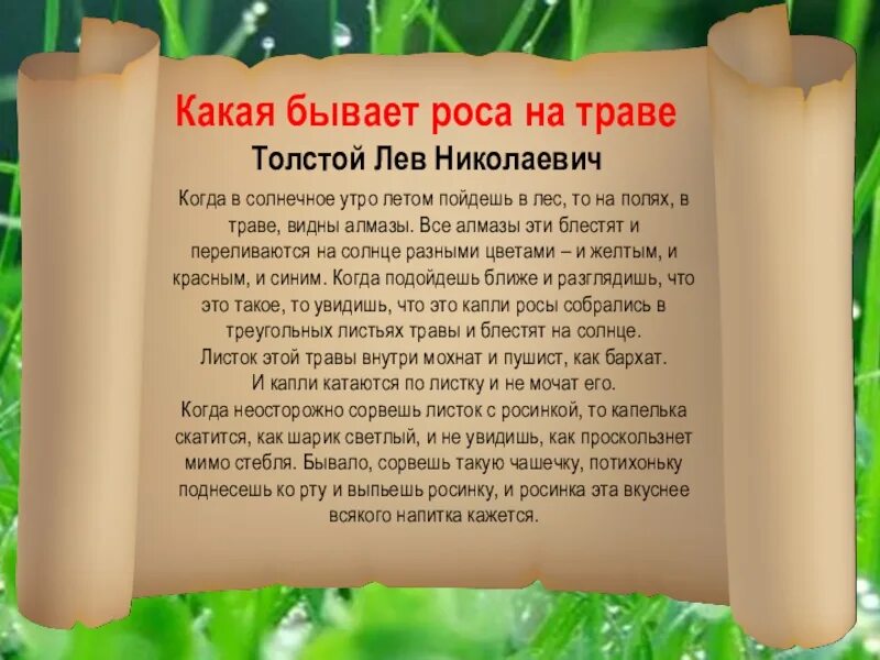 Увидел он в траве. Когда в солнечное утро летом пойдешь в лес то. в солнечное летнее утро в лесу на полях в траве видны алмазы. алмазы в траве видны когда. солнечным утром в полях на траве видны алмазы.