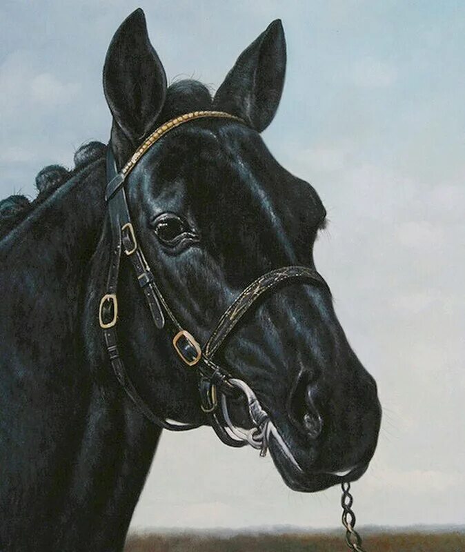 изображенная лошадь. рисунок лошади карандашом для срисовки. как рисовать лошадь поэтапно карандашом для начинающих. лошадь караковой масти арт. изображенная лошадь.