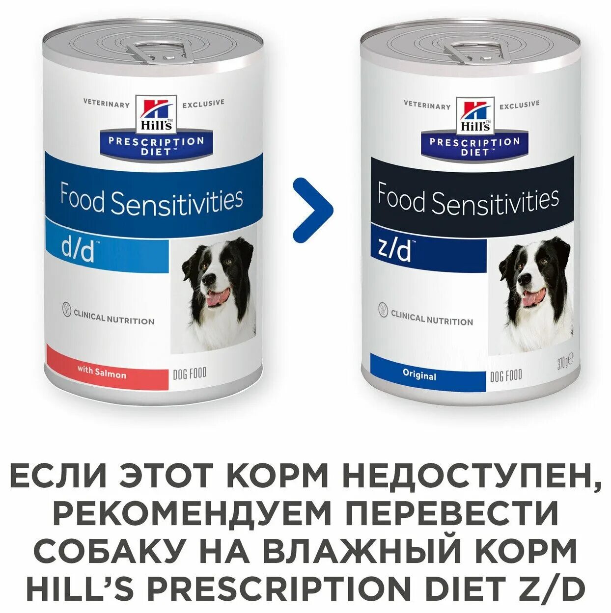 Хиллс гипоаллергенный для собак. Хиллс гипоаллергенный ветеринарный корм. Хиллс для собак противоаллергенный. Корм Хиллс для аллергиков собак.