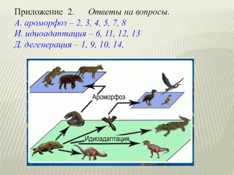 Эволюционные изменения ароморфоз идиоадаптация дегенерация. Ароморфоз идиоадаптация дегенерация. Ароморфоз общая дегенерация. Эволюция ароморфоз идиоадаптация общая дегенерация. Дегенерация эволюционное изменение