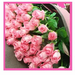 Розовые розы 12