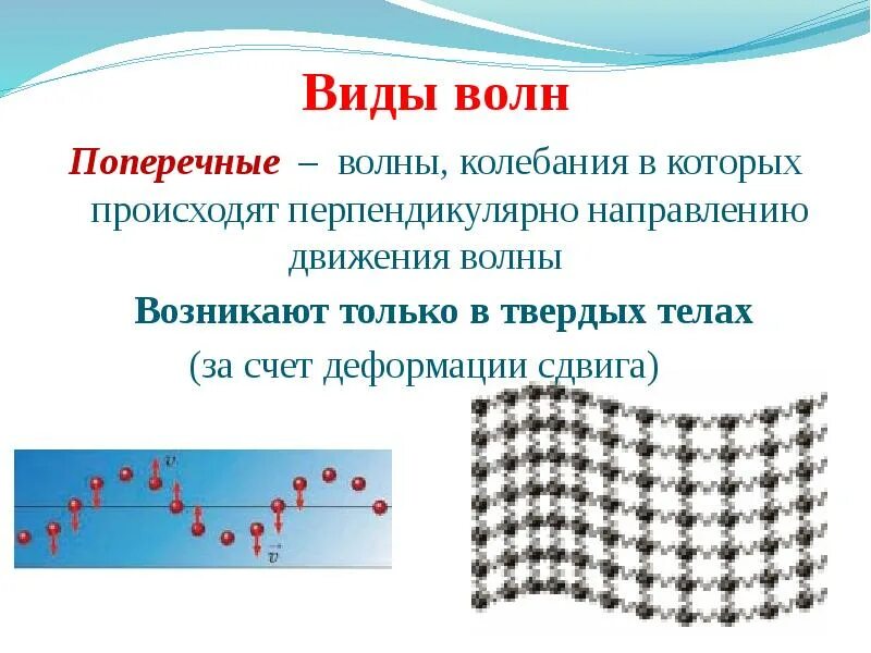 По шнуру бежит поперечная волна