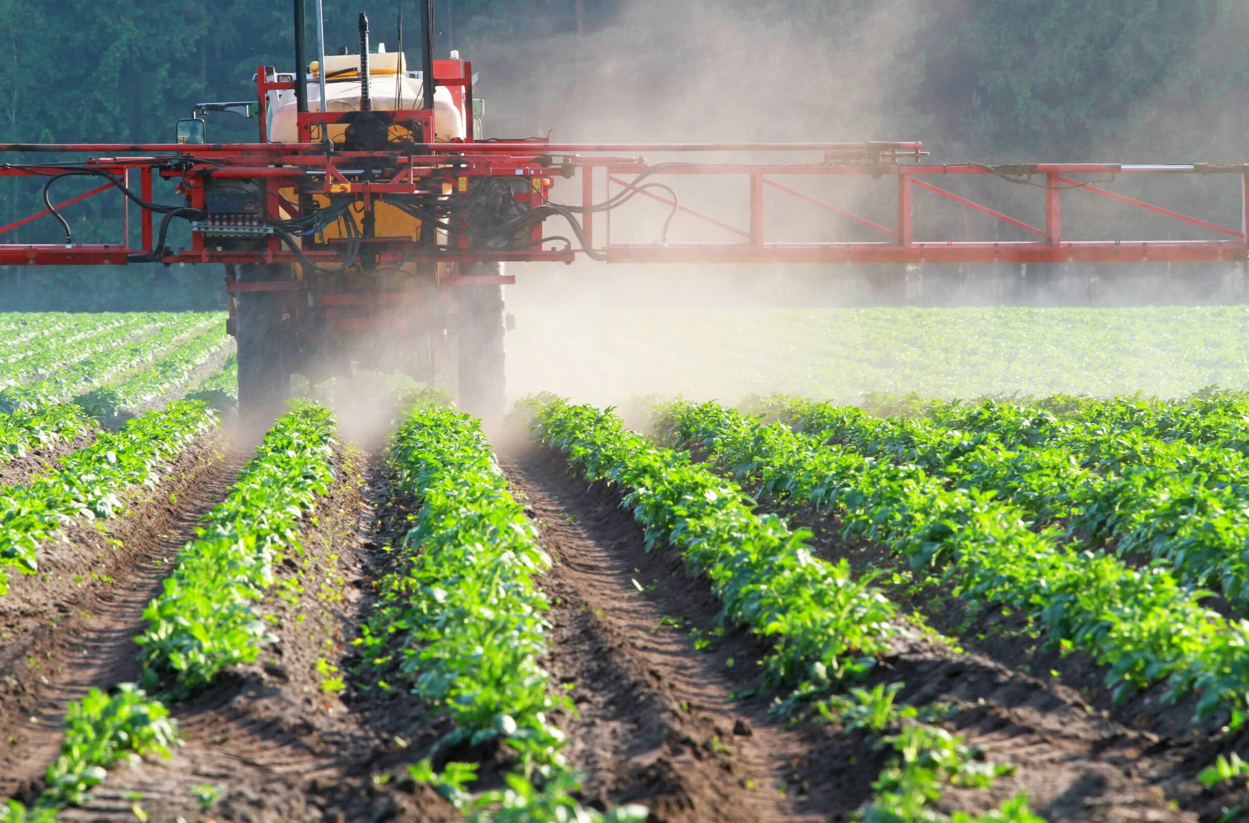 Удобрение полей пестицидами. Хим прополка полей. Химическая защита растений. Ядохимикаты в сельском хозяйстве.