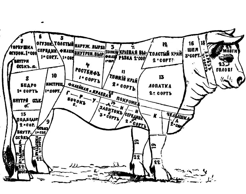 Вырезка части говядины. Части туши говядины схема. Говядина оковалок схема. Схема разделки крупного рогатого скота. Схема разруба туши коровы.