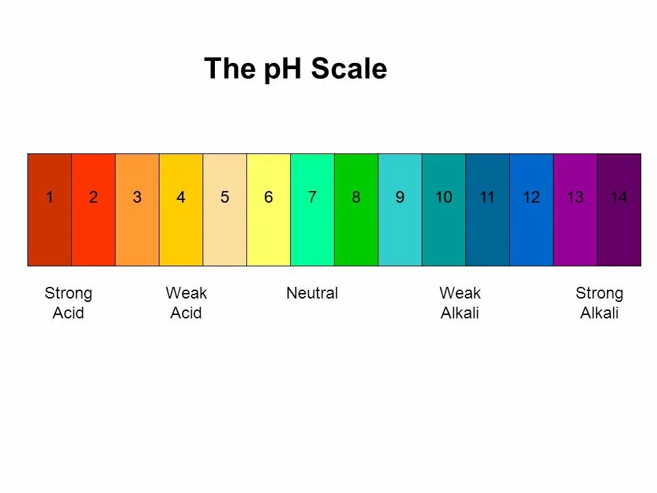 Рено банки партнеры. Карта роснефть. Рн банк логотип. Роснефть рн карт. Сайт рн.