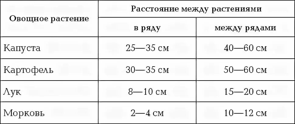 Сколько см должно быть между. Расстояние между рядами картофеля. расстояние между рядами при посадке картофеля. расстояние между картошкой при посадке в ряду. посадка картошки расстояние между рядами.