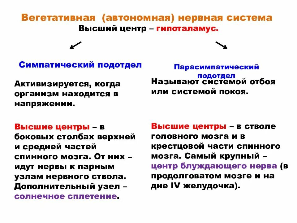 Соматическая и вегетативная нервная система. Соматический и вегетативный отделы нервной. Соматический отдел нервной системы. Соматический и автономный (вегетативный) отделы нервной системы.