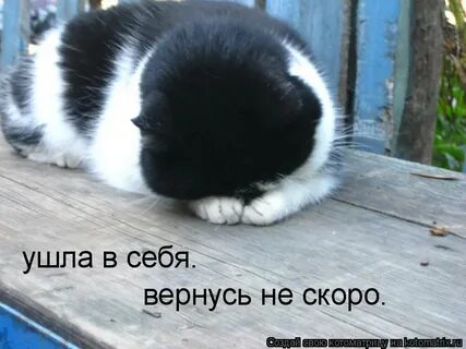 Ухожу вернусь не скоро