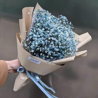 Сколько стоят гипсофилы