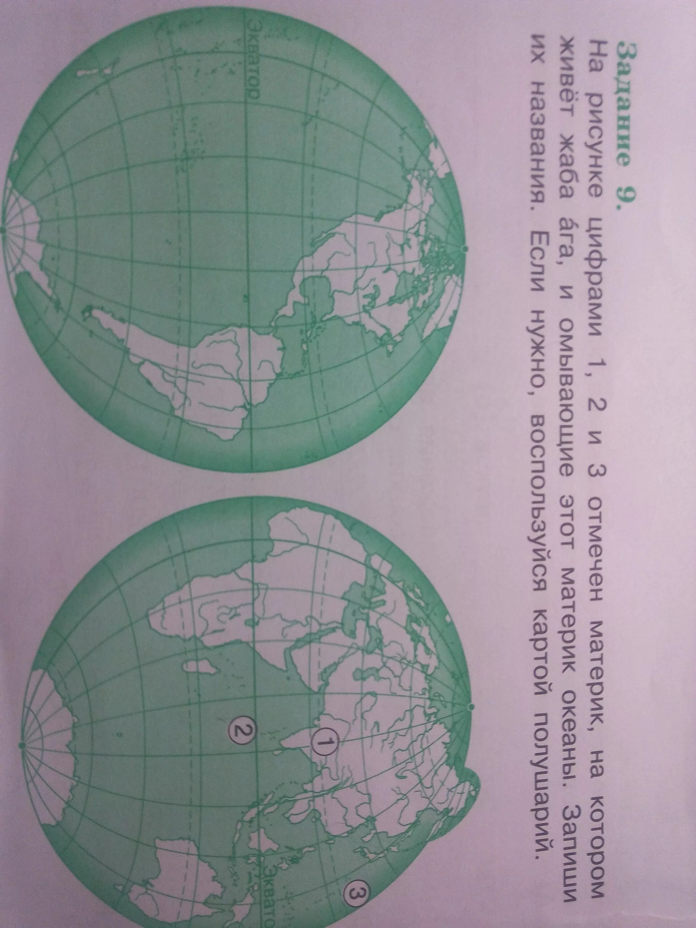 Жаба ага комплексная работа 3 ответы. Расселение Жабы ага на карте полушарий. Расселение Жабы ага на карте. Карта полушарий с материками и Океанами. Карта полушарий жаба ага.