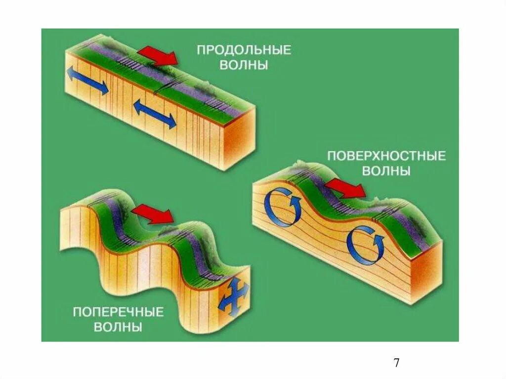 Волна землетрясения. Сейсмические волны землетрясения. Схема распространения сейсмических волн. Продольные поперечные и поверхностные сейсмические волны. Поверхностные сейсмические волны.