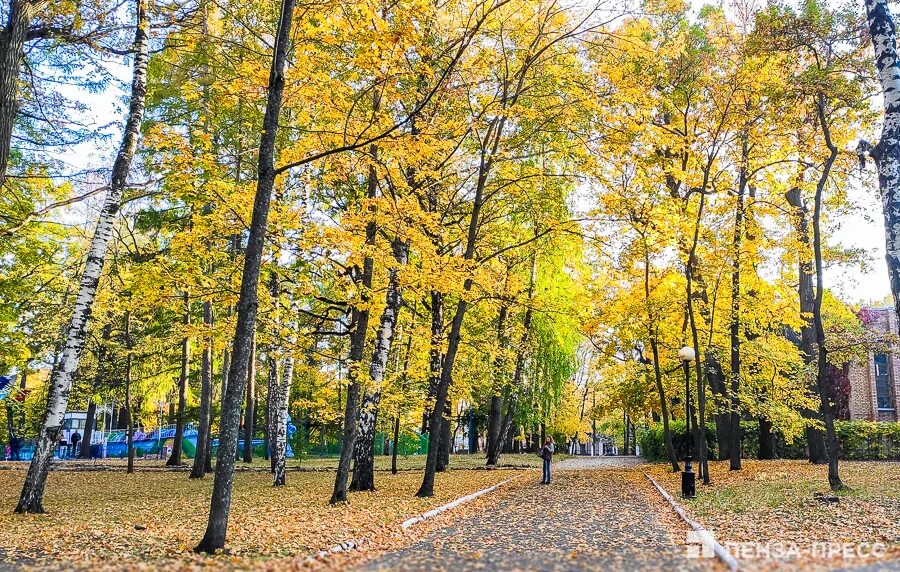 Фото В осеннем парке - фотограф Serzh - пейзаж - ФотоФорум.ру