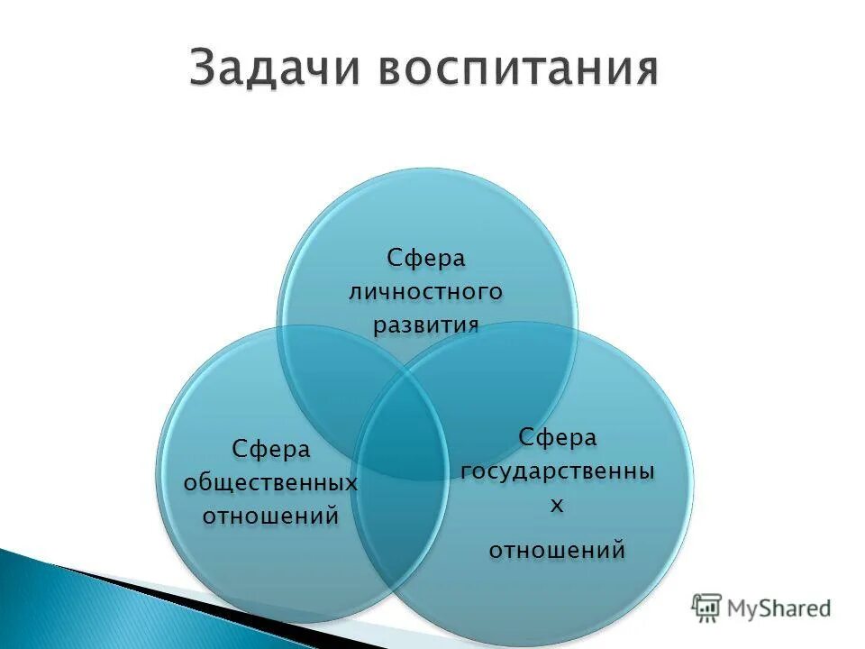 Сфера личных интересов. Сферы развития личности. Развитие личностной сферы.