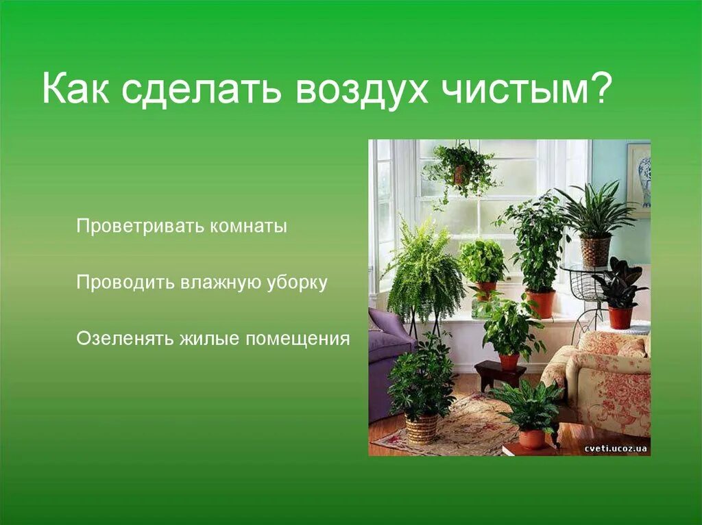 Мероприятия чистый воздух. Как сделать воздух чистым. как сделать воздух чище. как сделатьяистый воздух. чистый воздух презентация.