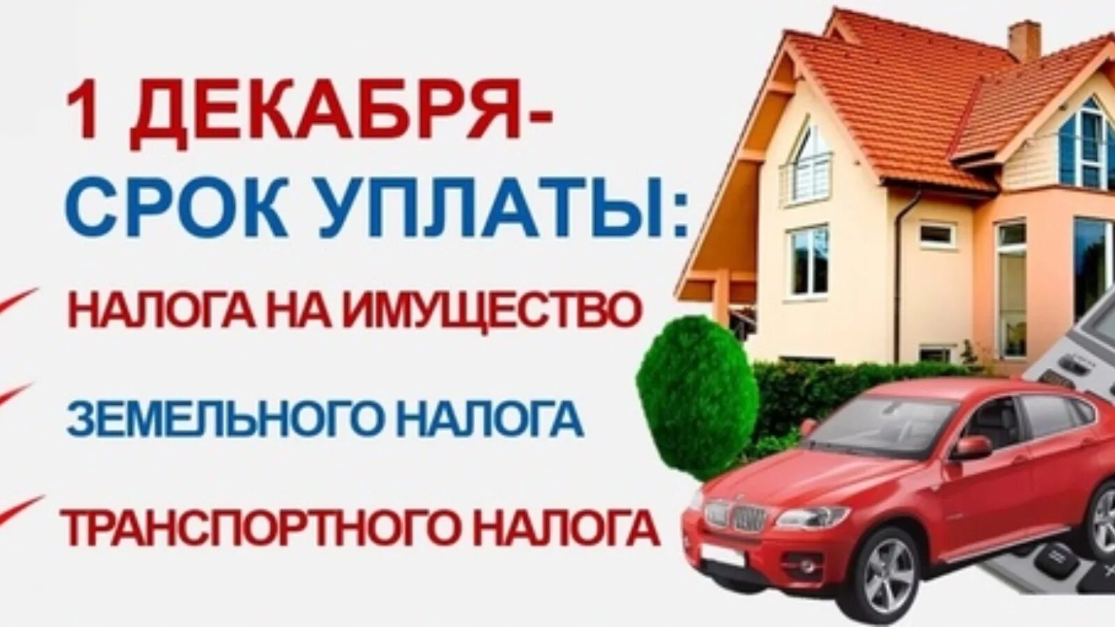 Срок уплаты земельного налога за 2025. Имущественные налоги физических лиц. сроки уплаты налогов. 1 декабря срок уплаты имущественных налогов. срок уплаты имущественного налога физическим лицам.