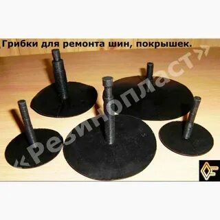 Ремонт грибок