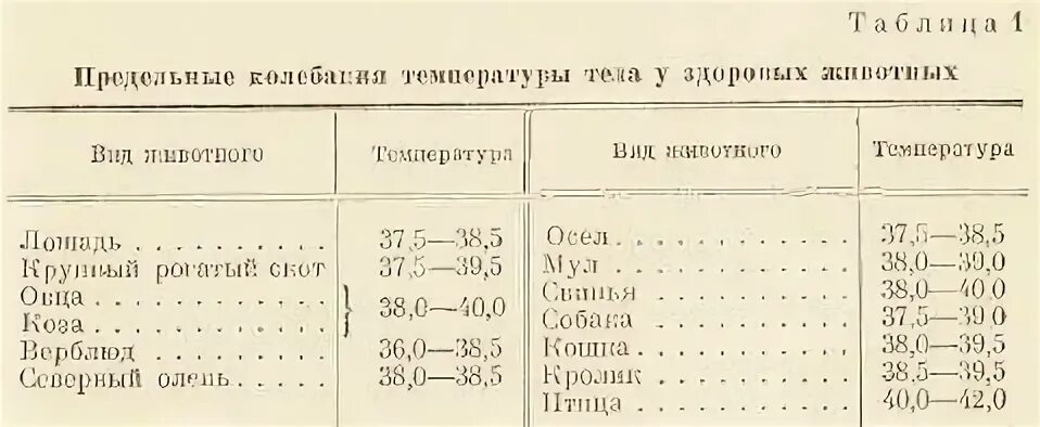 Температура тела кур. Температура тела свиньи в норме. Нормы температуры тела у животных таблица. Нормальная температура тела у поросят. Температура животных в норме таблица.