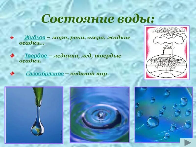 Почему вода твердая. Жидкое состояние воды. Формы воды в природе. Жидкая вода. Жидкая форма воды.