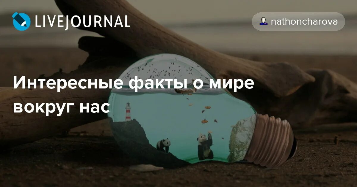 Мир вокруг нас. Книжки про микромир. Интересные факты о мире вокруг нас. Мир вокруг факты. Мир вокруг факты.