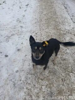 Именно з