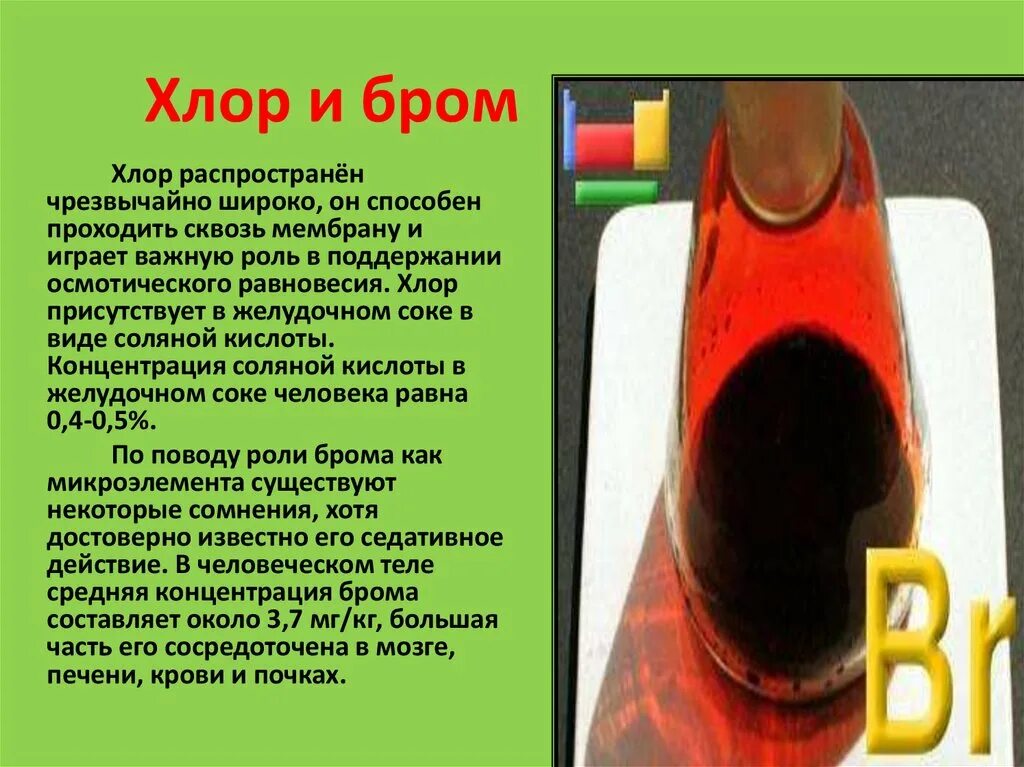 Бром 24. Влияние брома на организм. Бром. Бром в организме человека. Воздействие хлора на организм человека кратко.