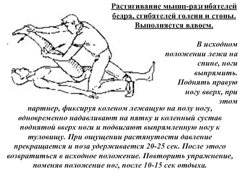 Мышцы разгибающие бедро. Мышцы разгибающие бедро