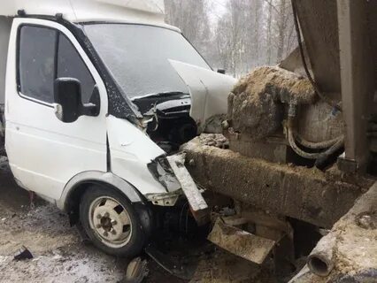 Газель калуга область