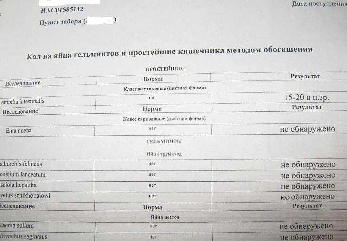 Анализ червя. Исследование кала на яйца гельминтов норма. Исследование на гельминтозы яйцеглист и простейшие. Микроскопическое исследование кала на простейшие и цисты лямблий. Анализ на яйца гельминтов и простейшие.