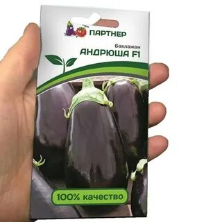 Баклажан андрюша