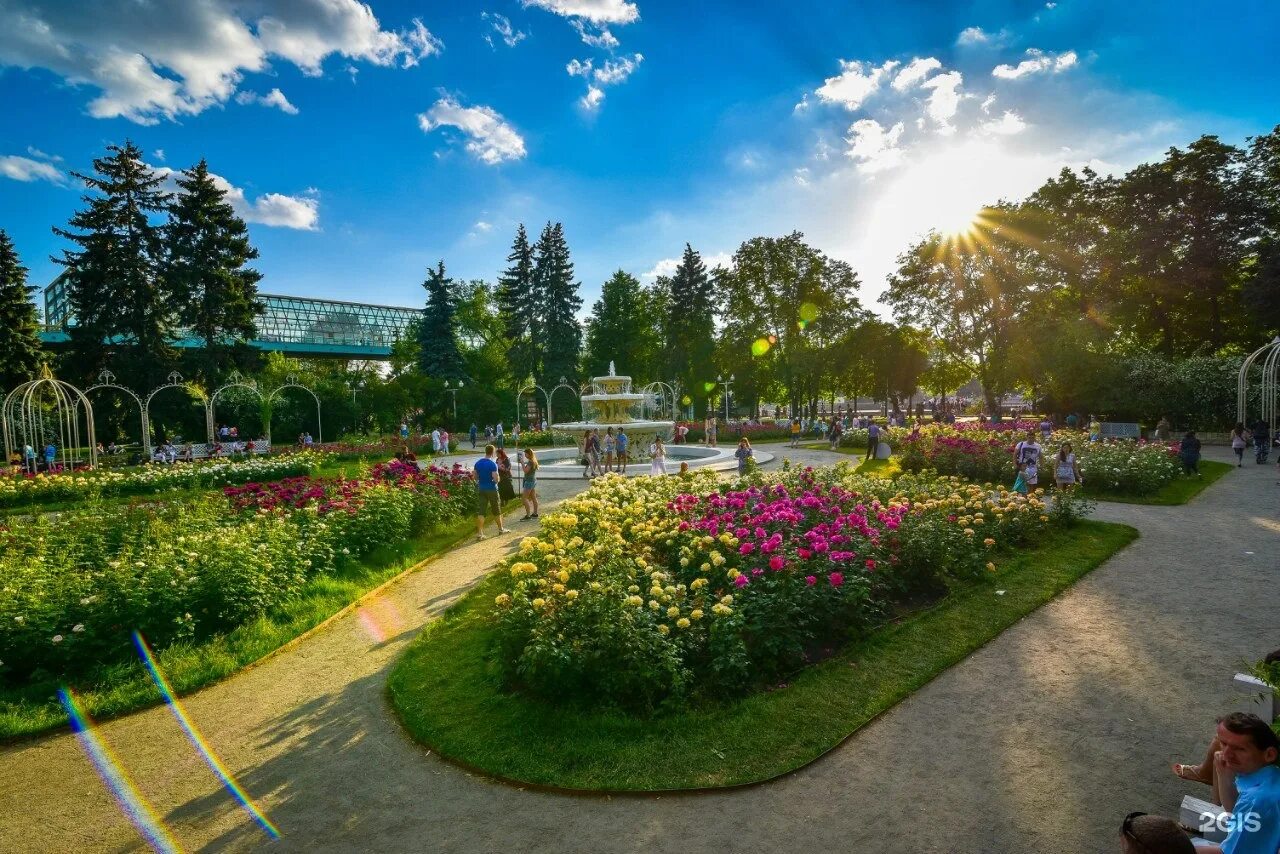 Парк Горького Москва летом. Парк культуры Горького Москва. Горьковский парк Москва. Парк Горького парки.