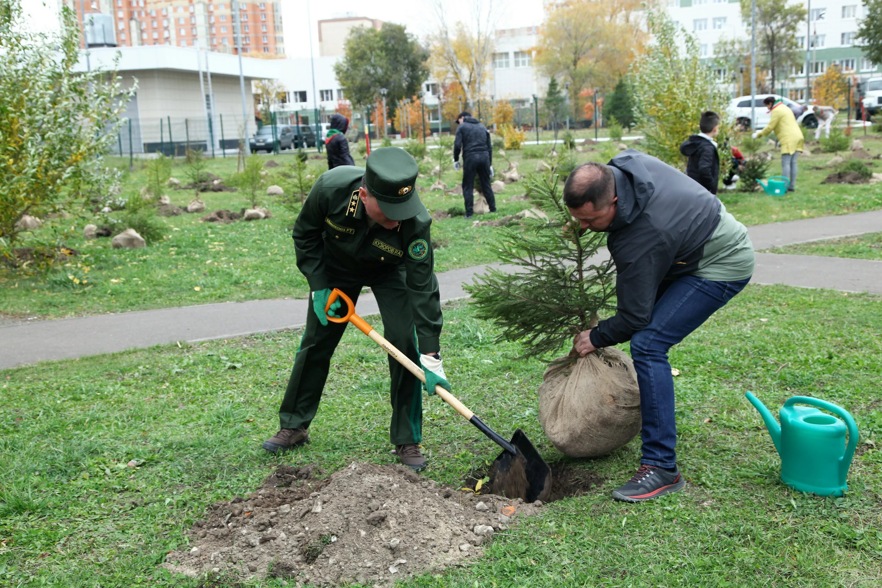 Высадка деревьев акция. Высаживание деревьев акции. Высадка деревьев Татарстан. Высадка деревьев в Елабуге.