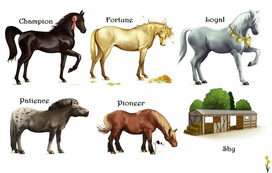 Breeding farm 0.7. Howrse. elf breeding farm. barney breeding farm. breeding farm 0.71.