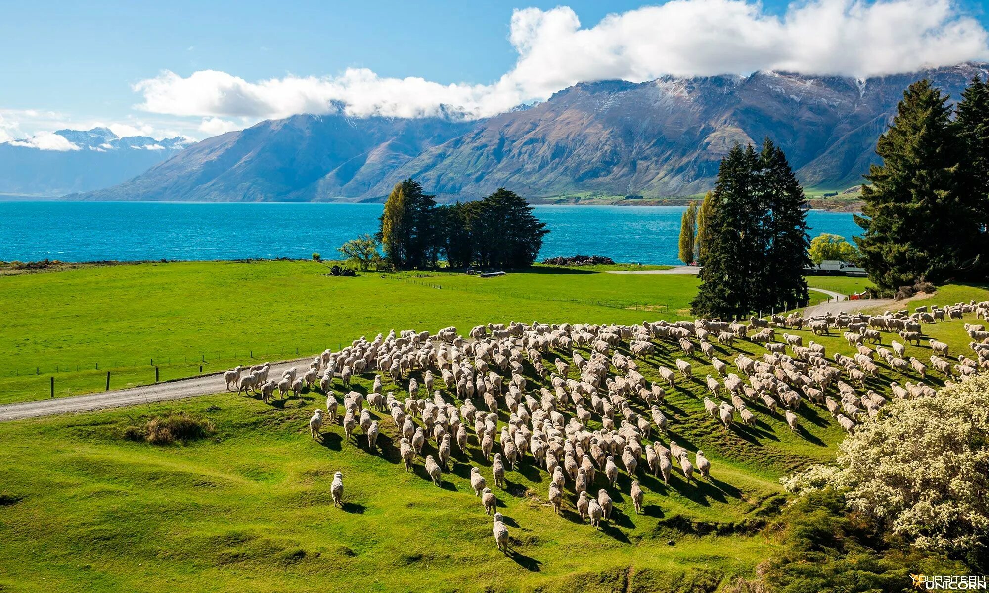 Уровень развития новой зеландии