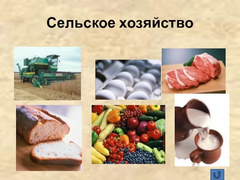 Отрасли экономики 2 класс. Отрасли экономики окружающий мир. Отрасль экономики торговля 2 класс. Отрасли экономики 3 класс.