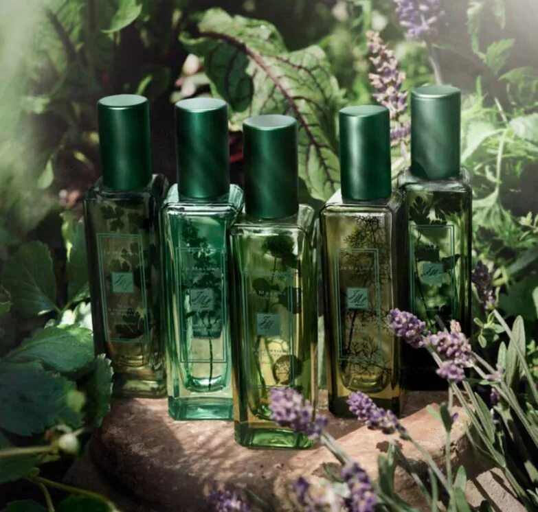 Зеленые запахи духов. Одеколон Jo Malone Lavender & coriander. Духи Джо Малон зелёные. Jo Malone Nasturtium & Clover 30 ml. Джо Малон Лаванда 30 мл.