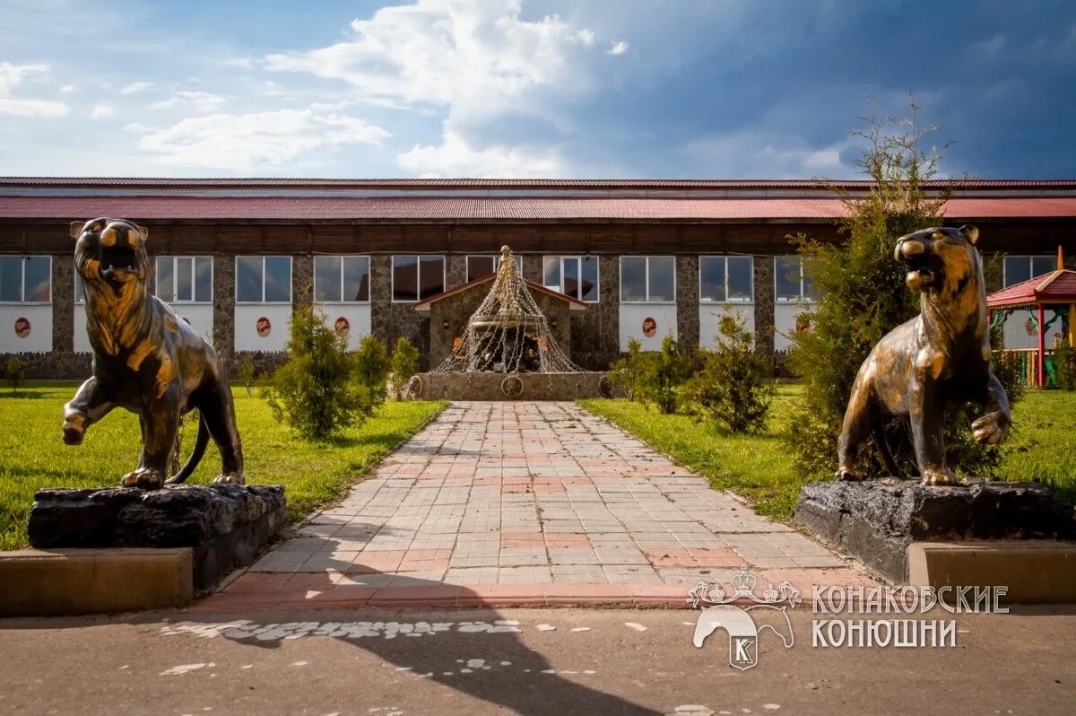 Сажино конюшни. Кск конаковские конюшни. Конный лагерь конаковские конюшни. Конаковские конюшни тверская область. Кск конаковские конюшни.