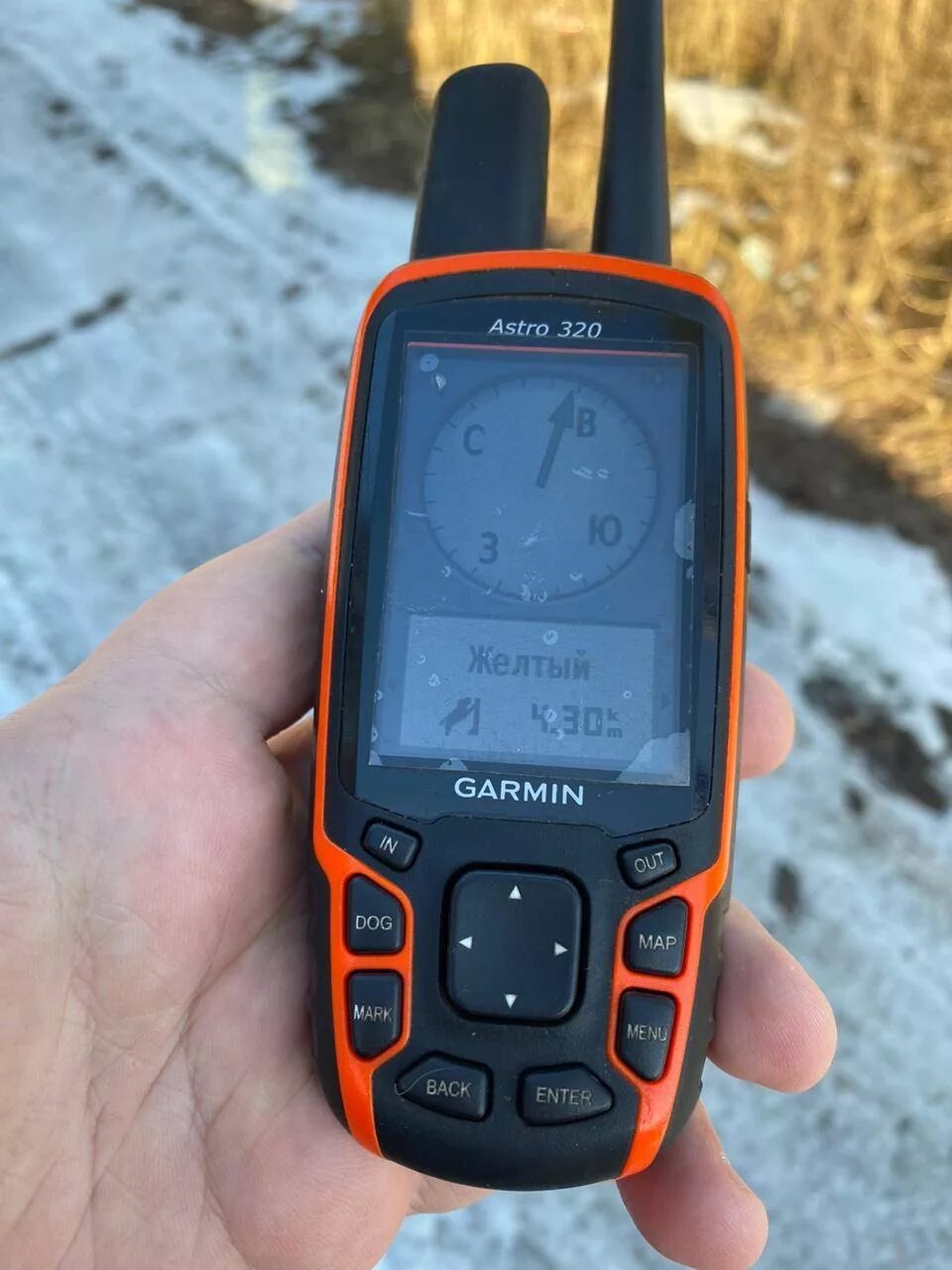 Гармин Астро 320. Garmin Astro 320. Навигатор Garmin Astro 430. Гармин ошейник для собак охоты купить