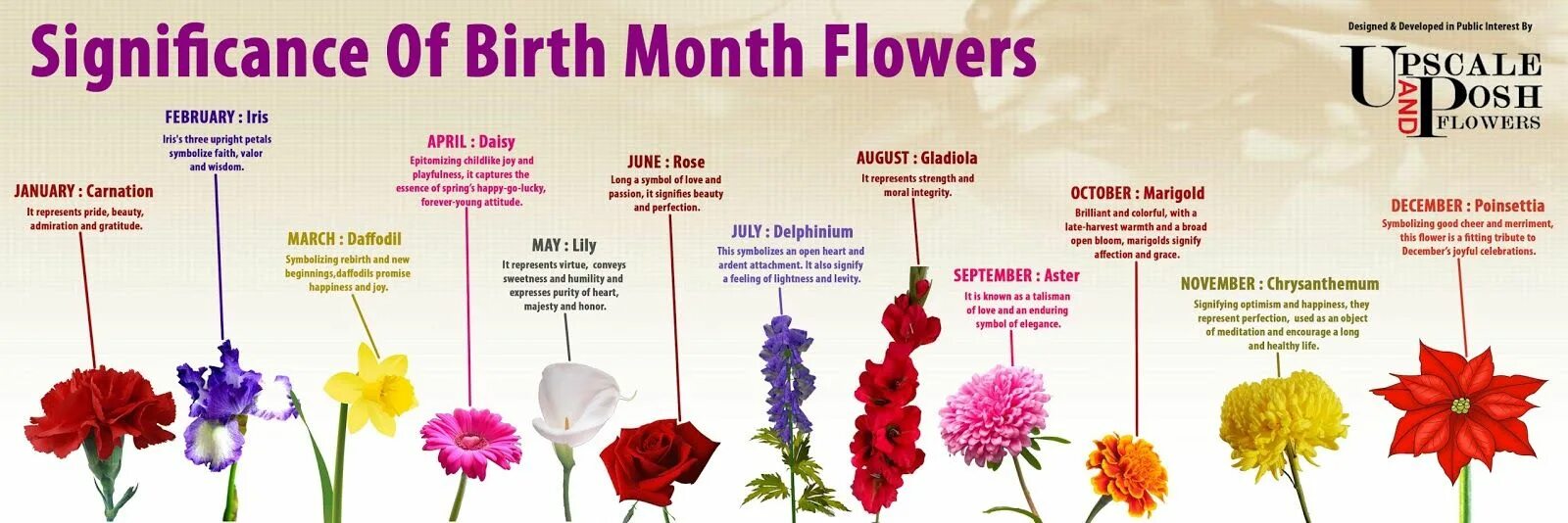 Floret joy ticket