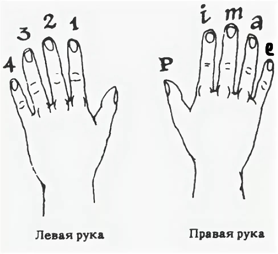 Признак музыкальных пальцев 8 букв. Аппликатура правой руки гитариста. Обозначение пальцев на гитаре правая рука. Наименование пальцев на гитаре. Название пальцев правой руки на гитаре.