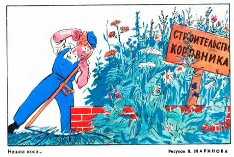 Сатира и жизнь