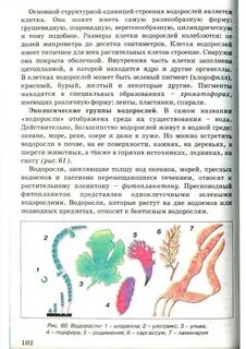 Биология 7 класс общая характеристика водорослей учебник