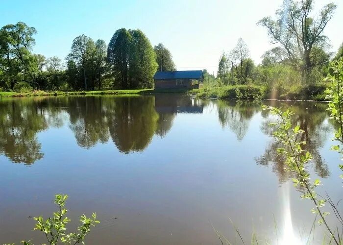 Деревня лобаново. Деревня лобаново калужская область. юхнов деревня лобаново. деревня лобаново 240.