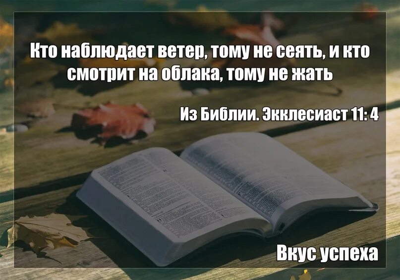 Кто наблюдает ветер тому не сеять. Посеешь ветер пожнешь бурю Библия. Посеявший ветер пожнет бурю цитата. Следите за ветром цитаты. Посеяли ветер пожали бурю