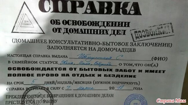 Сколько дают освобождение от. Справка об освобождении от домашних дел. Шуточная справка об освобождении от домашних дел. Справка освобождение от работы. Справка освобождение от работы прикол.