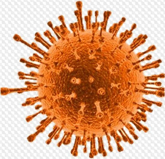 @sigma. Ротавирус строение вириона. Сигма вирус. Сигма вирус. Вирус sv40.