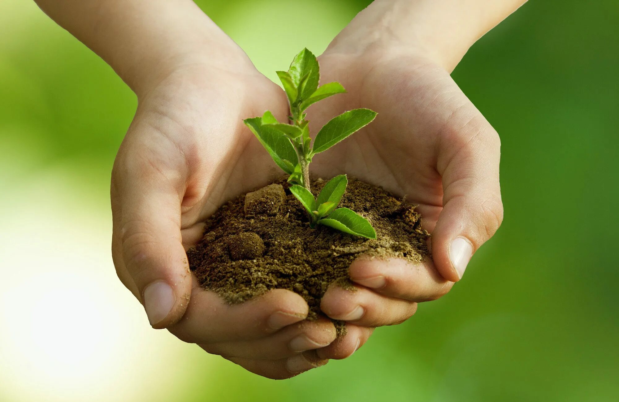 Save the environment