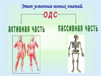 Одс это