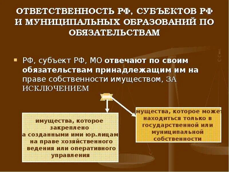 РФ субъекты РФ муниципальные образования. По своим обязательствам а также