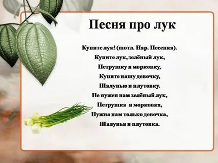 Песня про луковицы